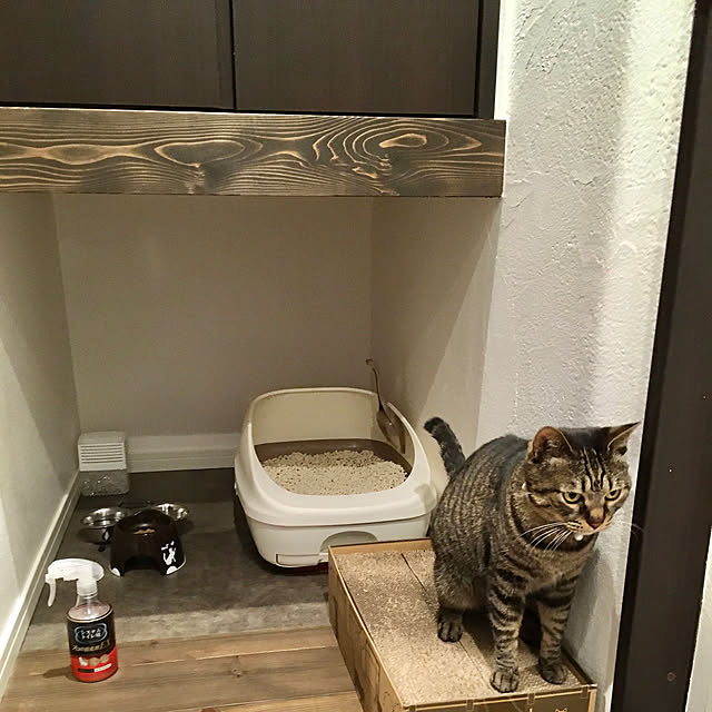 ayataroさんの実例写真