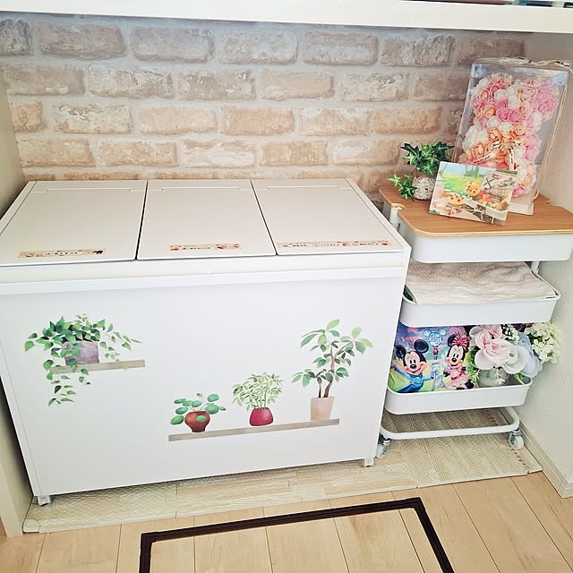 Miyukiさんの実例写真