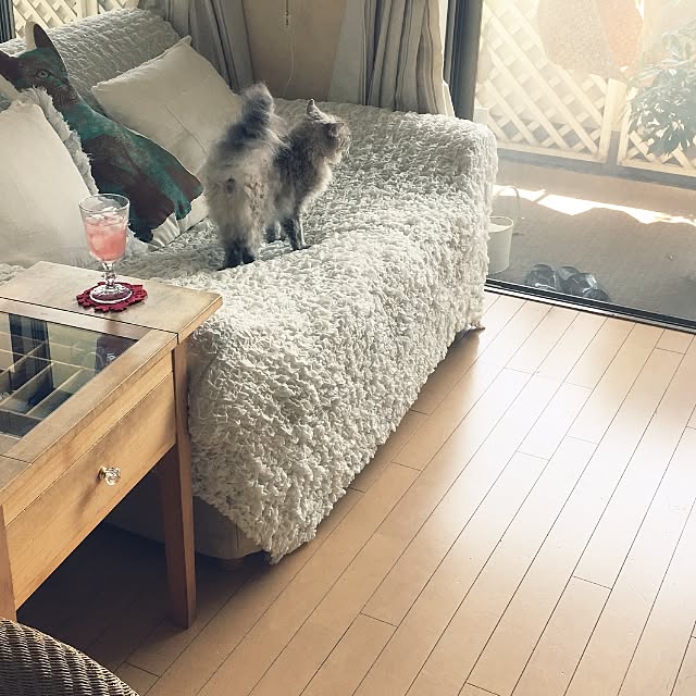 sakuracoさんの実例写真