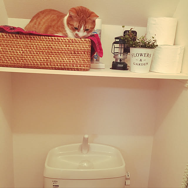 m.mさんの実例写真