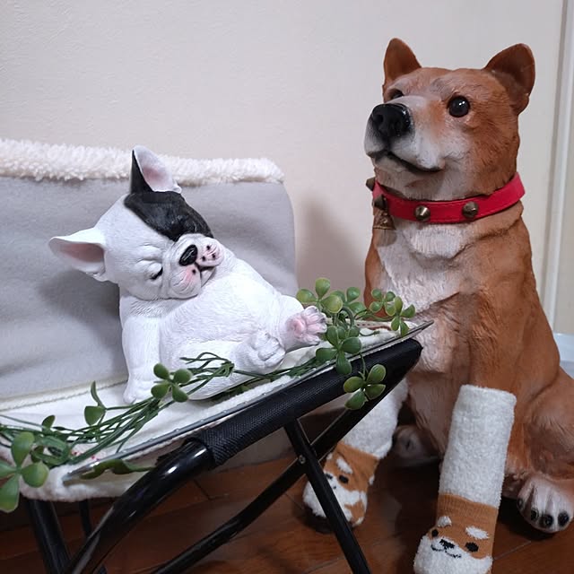 NOAHさんの部屋