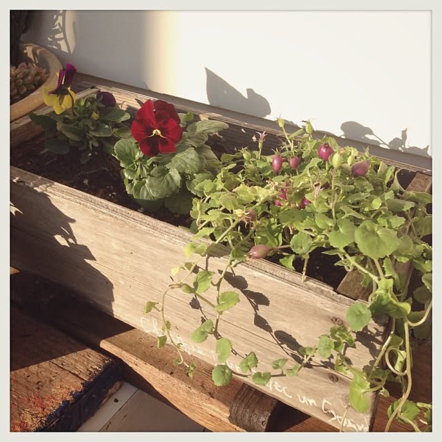 Nanaさんの実例写真