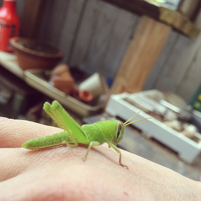 tomo1.1.1さんの実例写真