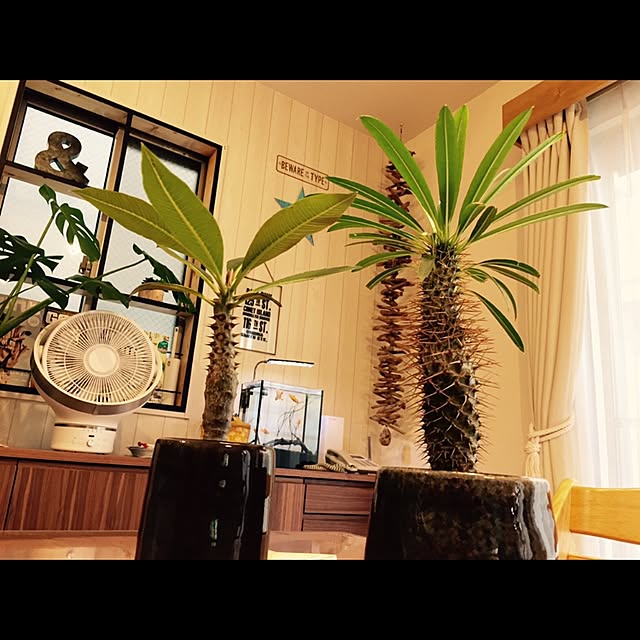 sig0320さんの実例写真