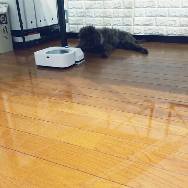 mimi828さんの実例写真