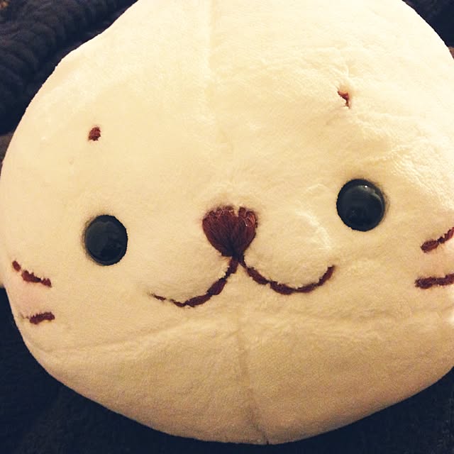 howahowaさんの実例写真