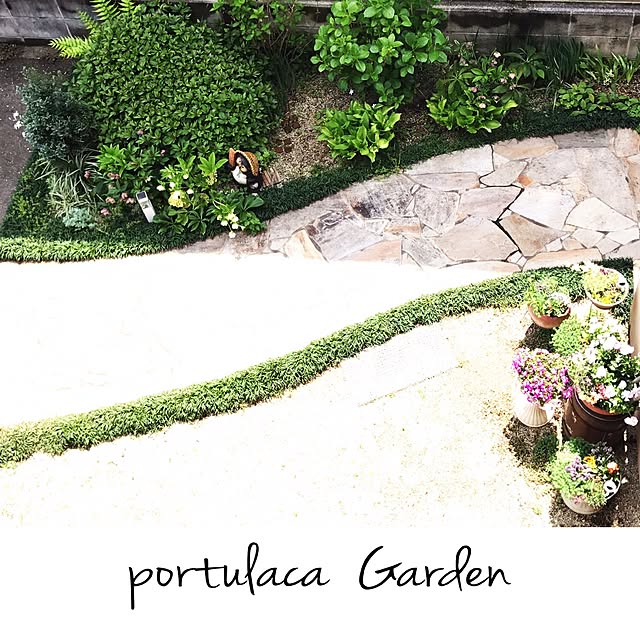 portulacaさんの実例写真