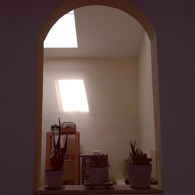 壁/天井のインテリア実例 - 2017-06-05 14:54:49