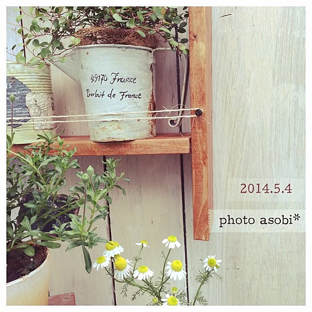 photo_asobiさんの実例写真