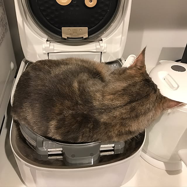nanaさんの実例写真