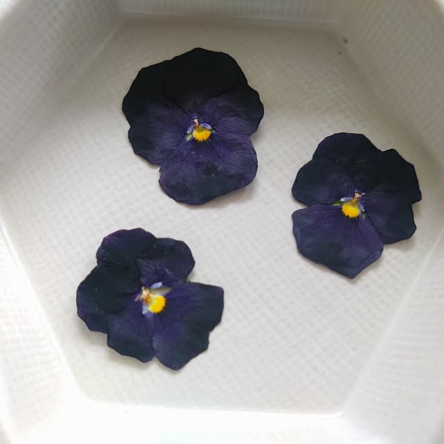 Petit_Pommierさんの部屋