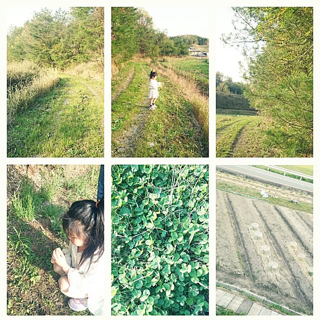 M_house_officialさんの実例写真