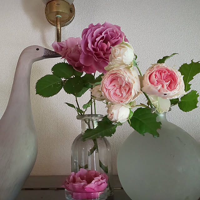 --rnrmm--さんの実例写真