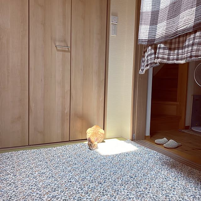 takakoさんの実例写真