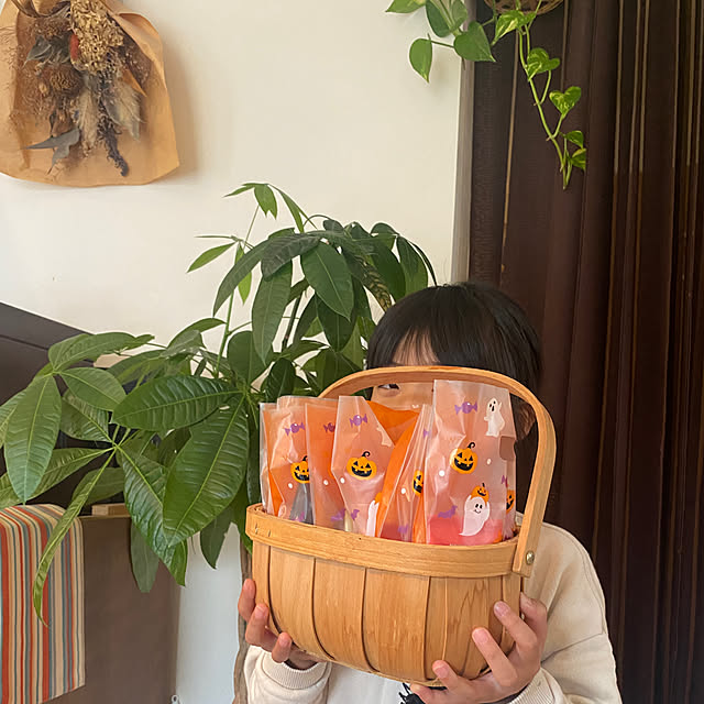 kotaroさんの実例写真