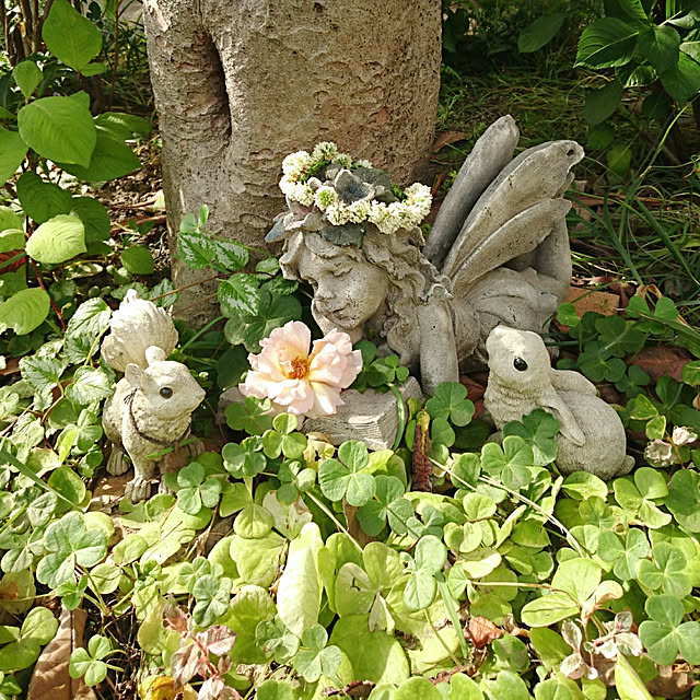 chururiさんの実例写真