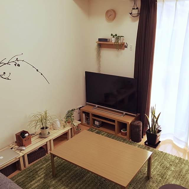 実例写真