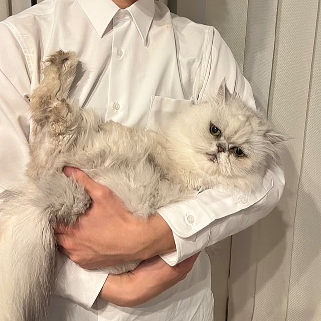 Renさんの部屋
