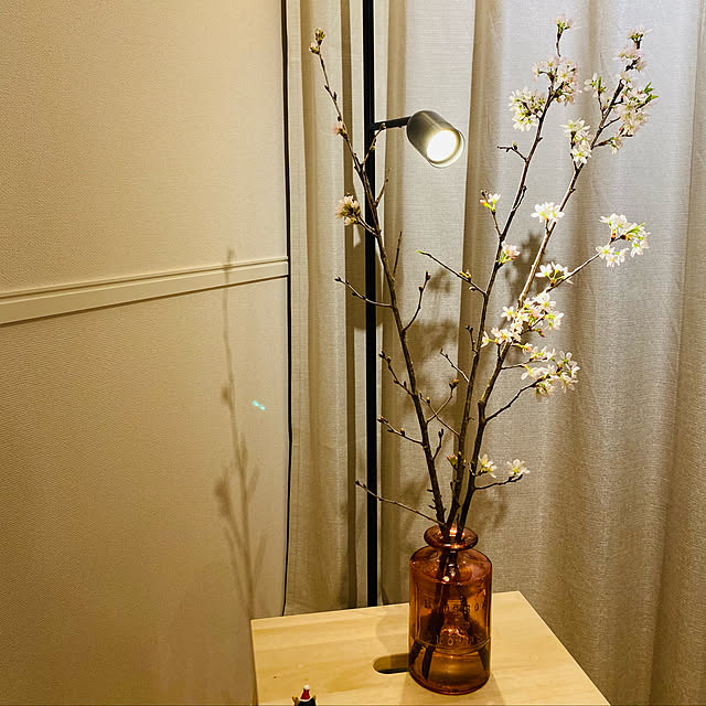 eggdishesさんの実例写真