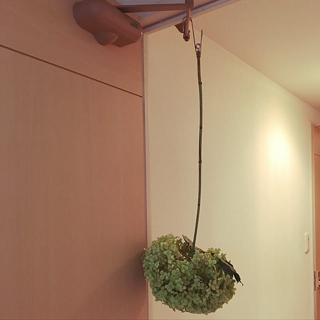 haru._.hanaさんの実例写真