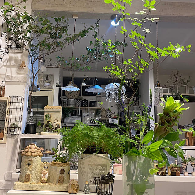 usakoさんの部屋