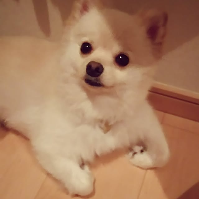 yuki15さんの実例写真