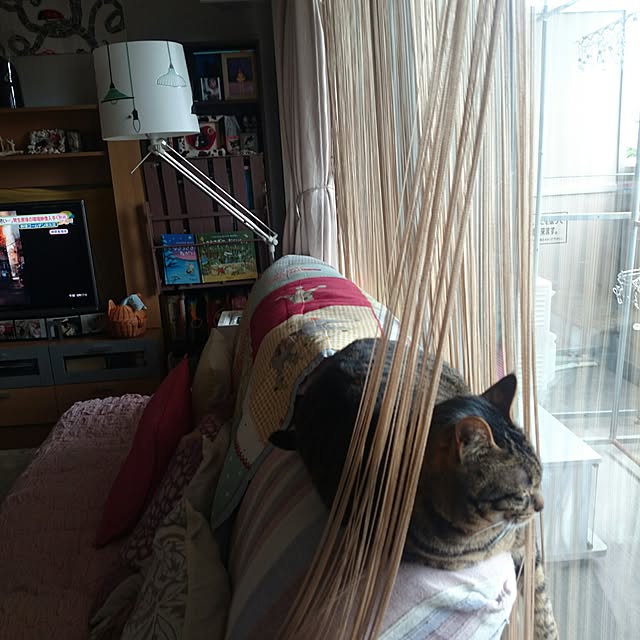 Masamiさんの実例写真