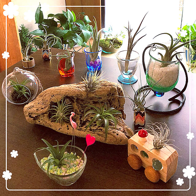 koyuriさんの実例写真