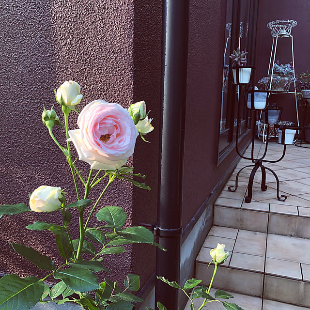 fuwa-mocoさんの実例写真