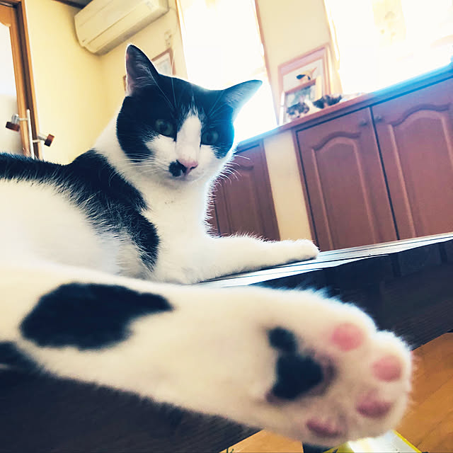実例写真