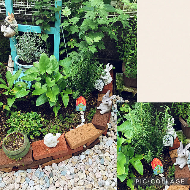 CoCo0617さんの実例写真