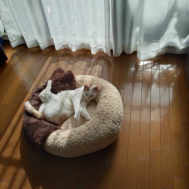 NOAHさんの部屋