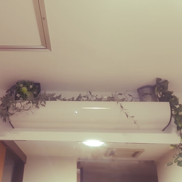 petichoさんの実例写真