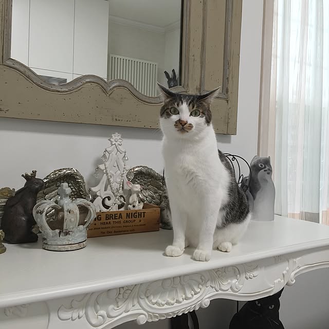 yuchiさんの実例写真