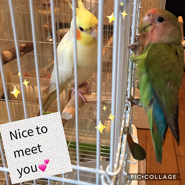 Alohaさんの実例写真