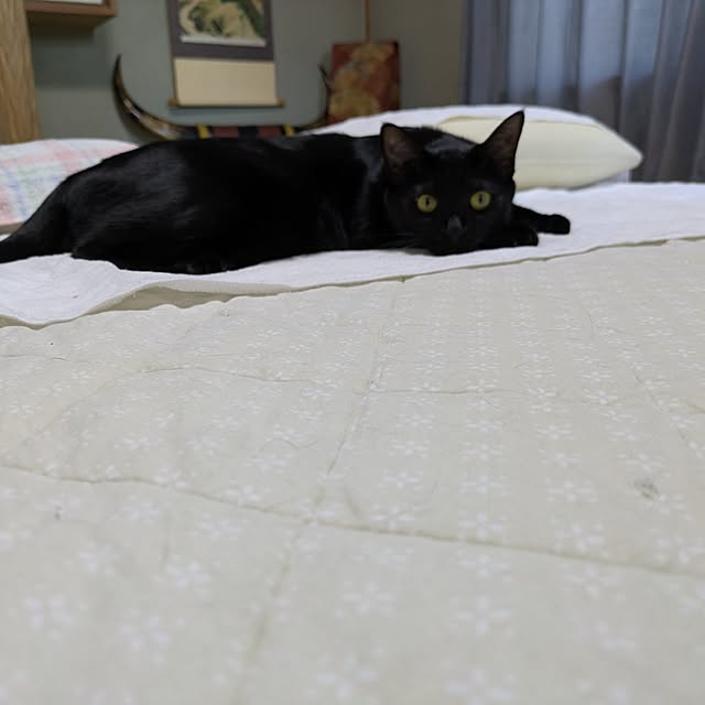 asaさんの部屋