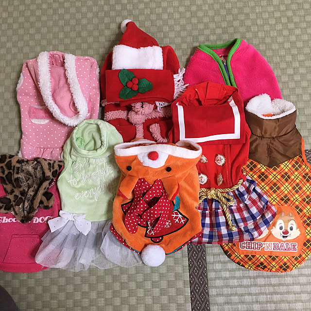 koroさんの実例写真