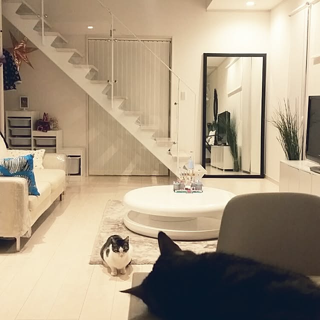 スチール階段/カツデンアーキテック/フランフラン/IKEA/ねこ...などのインテリア実例 - 2016-01-20 12:28:53