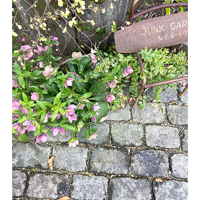kobami_styleさんの部屋