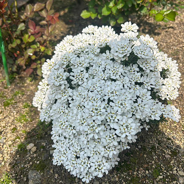 banbinaさんの部屋