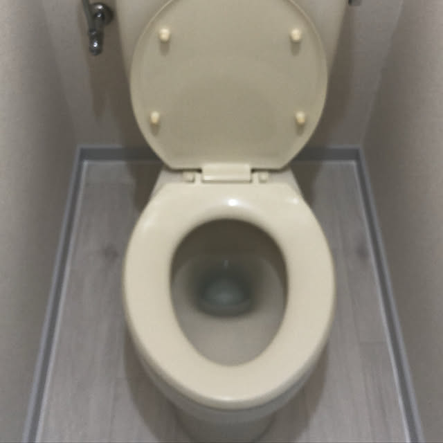 msrさんの実例写真