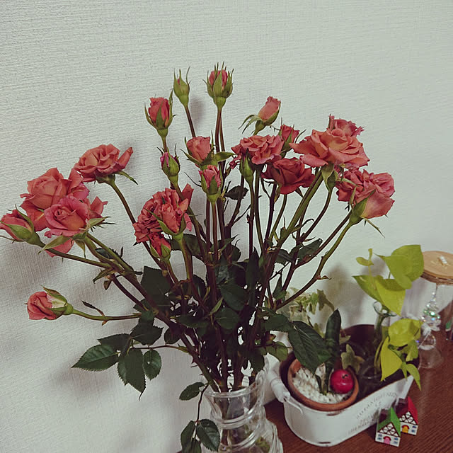 maopoliceさんの実例写真