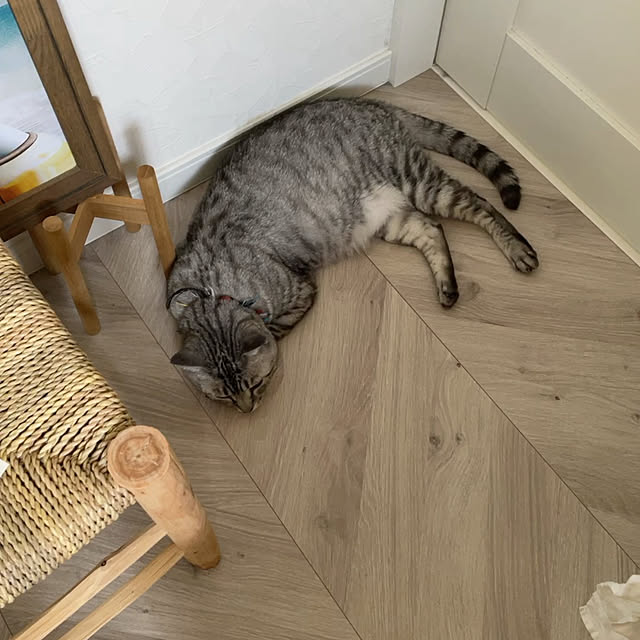 yoshirinさんの実例写真