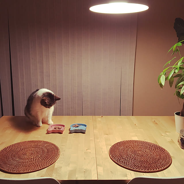 Keiさんの実例写真