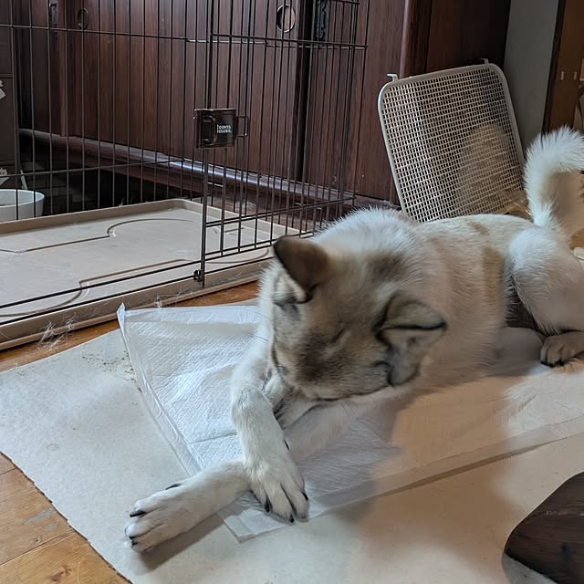 asaさんの部屋
