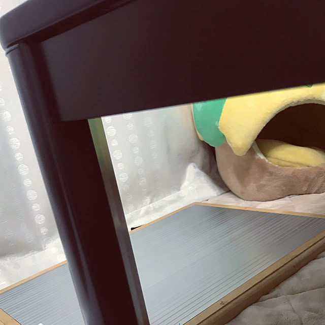 Ayaさんの実例写真