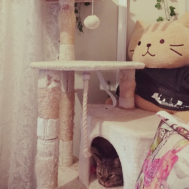 runaさんの部屋