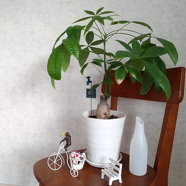 meiさんの実例写真