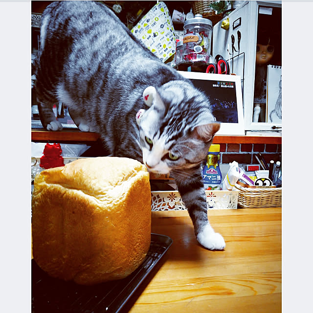 mntcさんの実例写真
