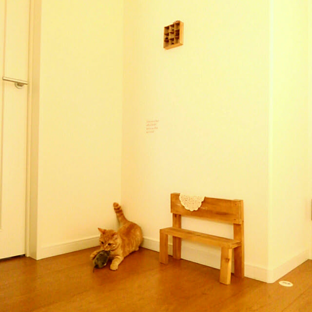 mayutan.さんの実例写真